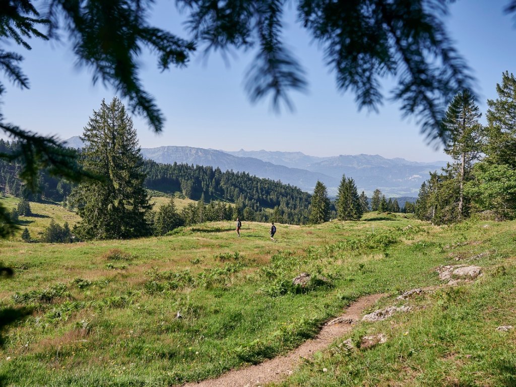 Auf dem Weg auf den Kojen in Riefensberg