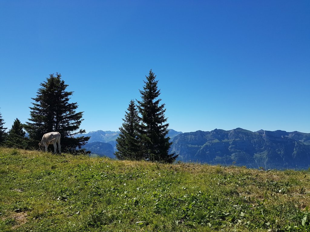 Panoramaweg Baumgarten