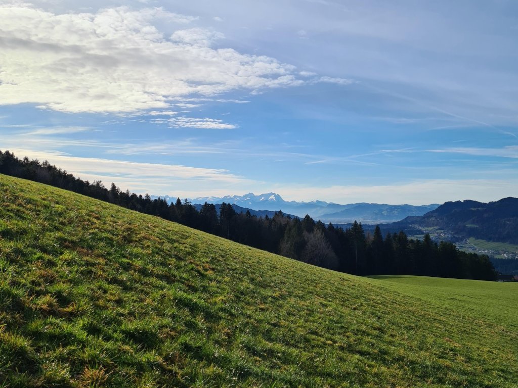 Abstieg Richtung Schönenbühl