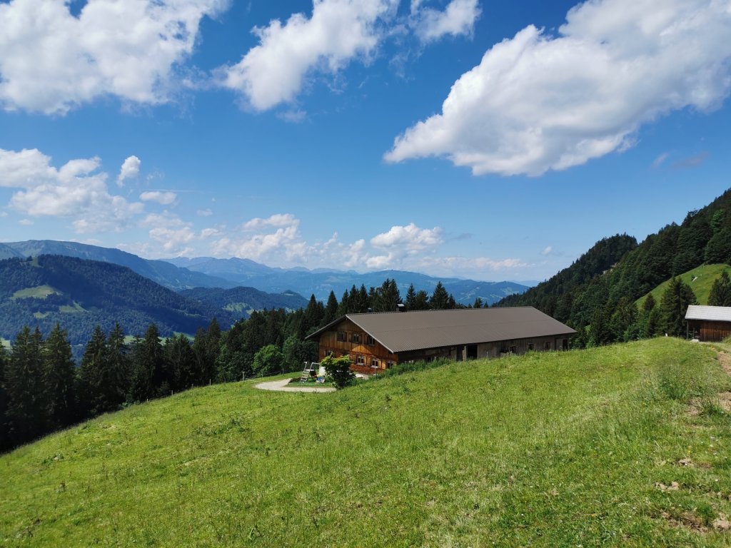 Alpe Schwarzenberger Platte im Lecknertal