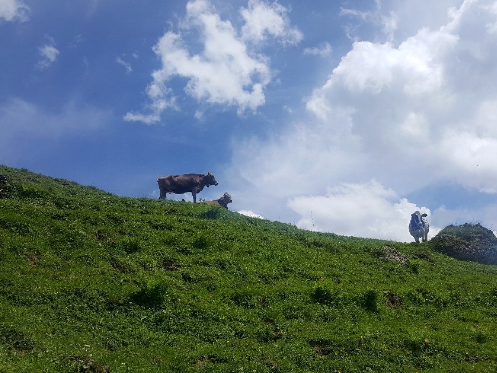 Wandern im Lecknertal