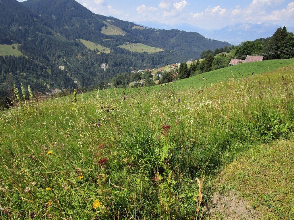 Immer wieder der Blick auf die Talortschaften und die gegenüberliegenden Alpflächen.