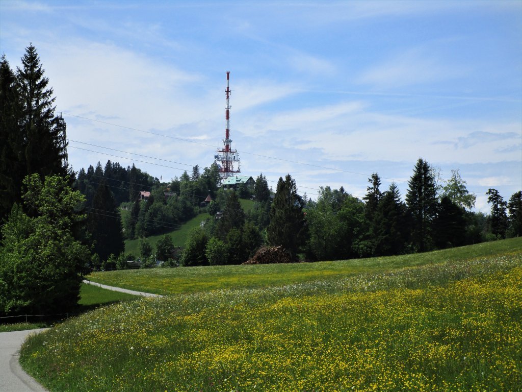 Blick zurück auf den Gipfel des Pfänders links vom Sendeturm