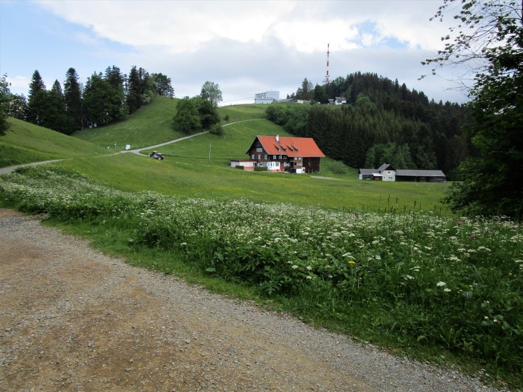 Blick zurück über den Gasthof Pfänderdohle auf den Pfänder.