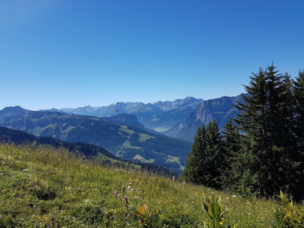 Aussicht in den Bregenzerwald auf Baumgarten