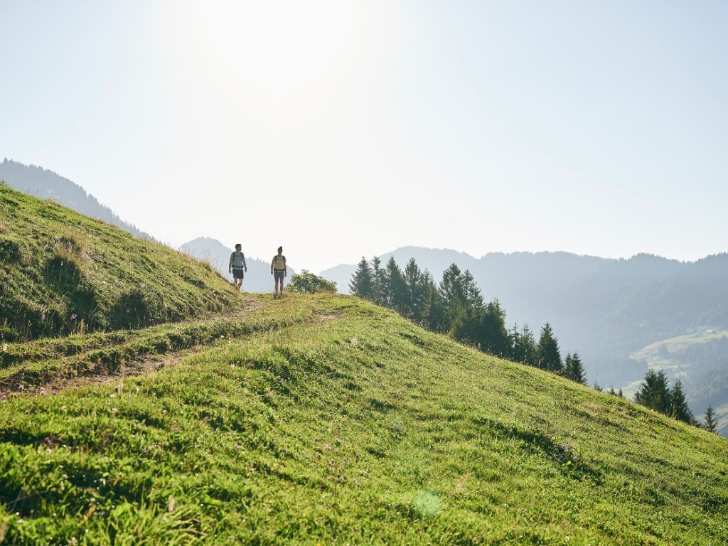 Wanderung zur Alpe Schwarzenberger Platte im Lecknertal