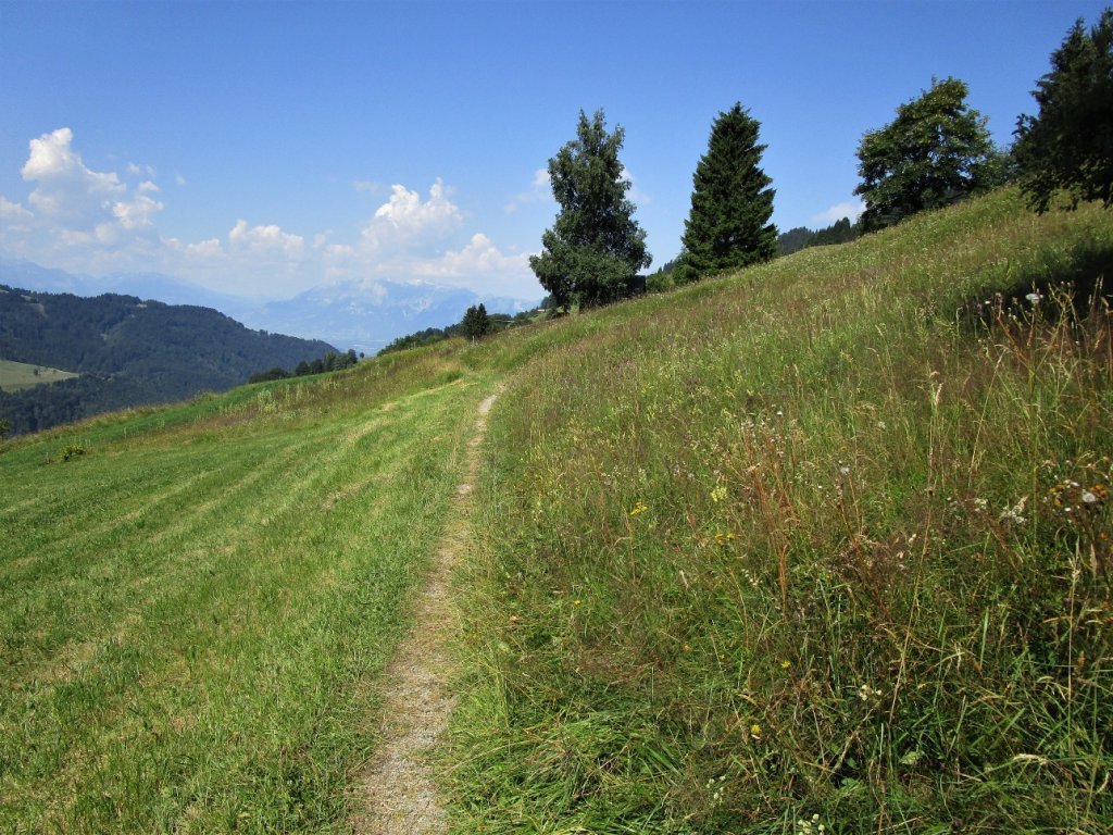 Schönen Schlucht- und Waldwegen folgen immer wieder angenehme Wiesenwege