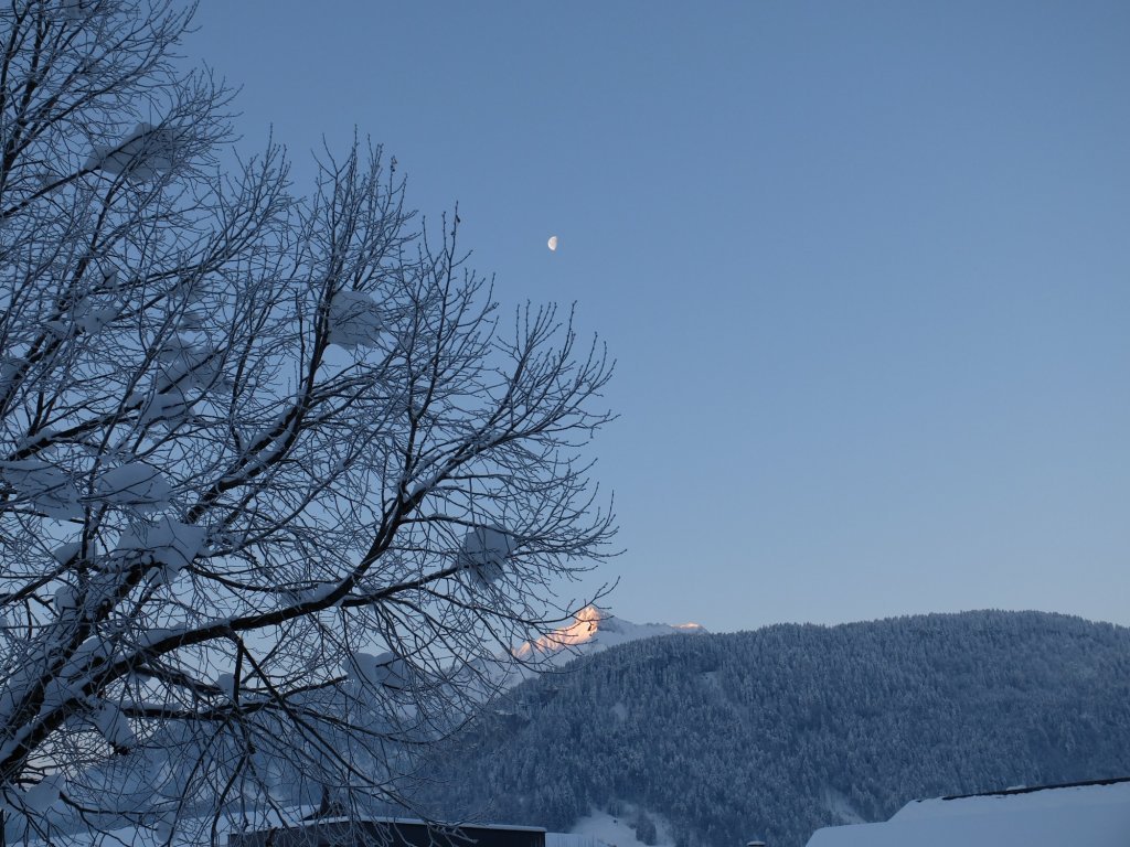 Blick in die Berge von Bezau