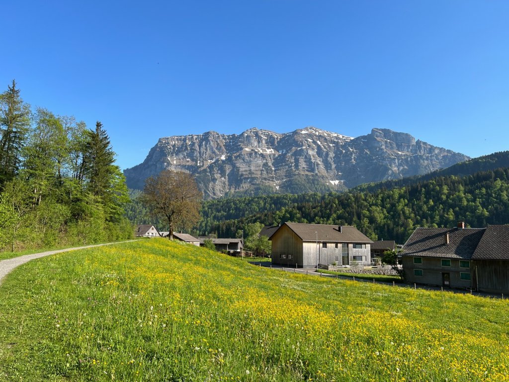 Blick auf die Kanisfluh vom Goßarweag