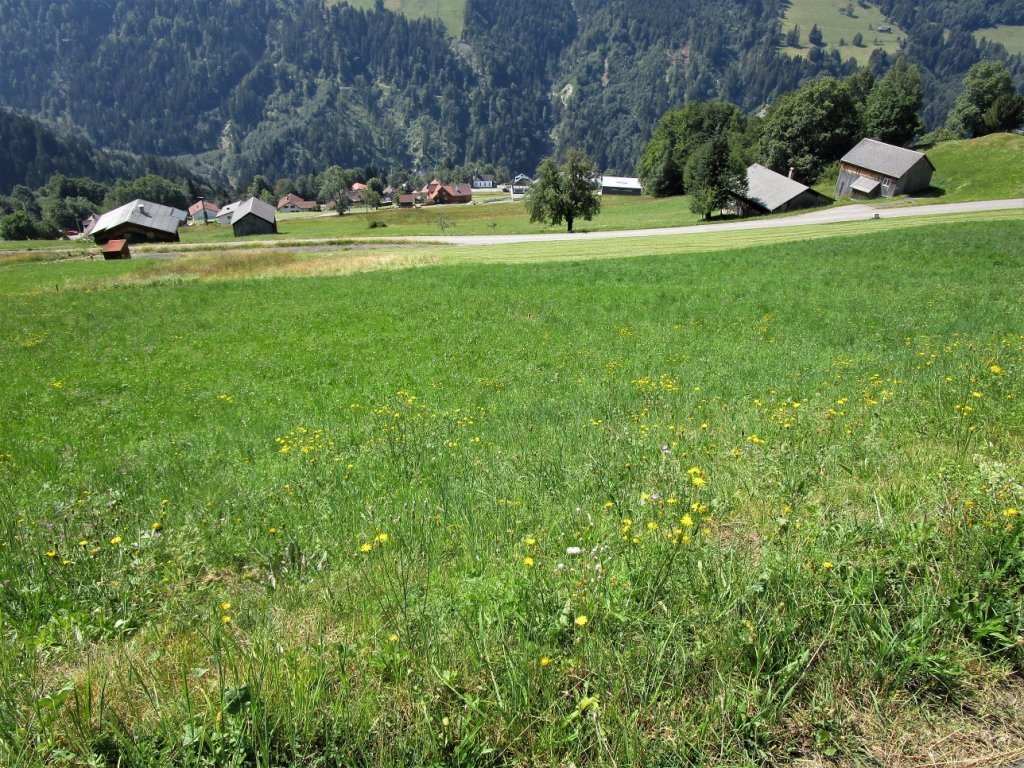 Die steile Wiese runter nach Bonacker ist im Winter eine schöne Skiabfahrt für Tourengeher