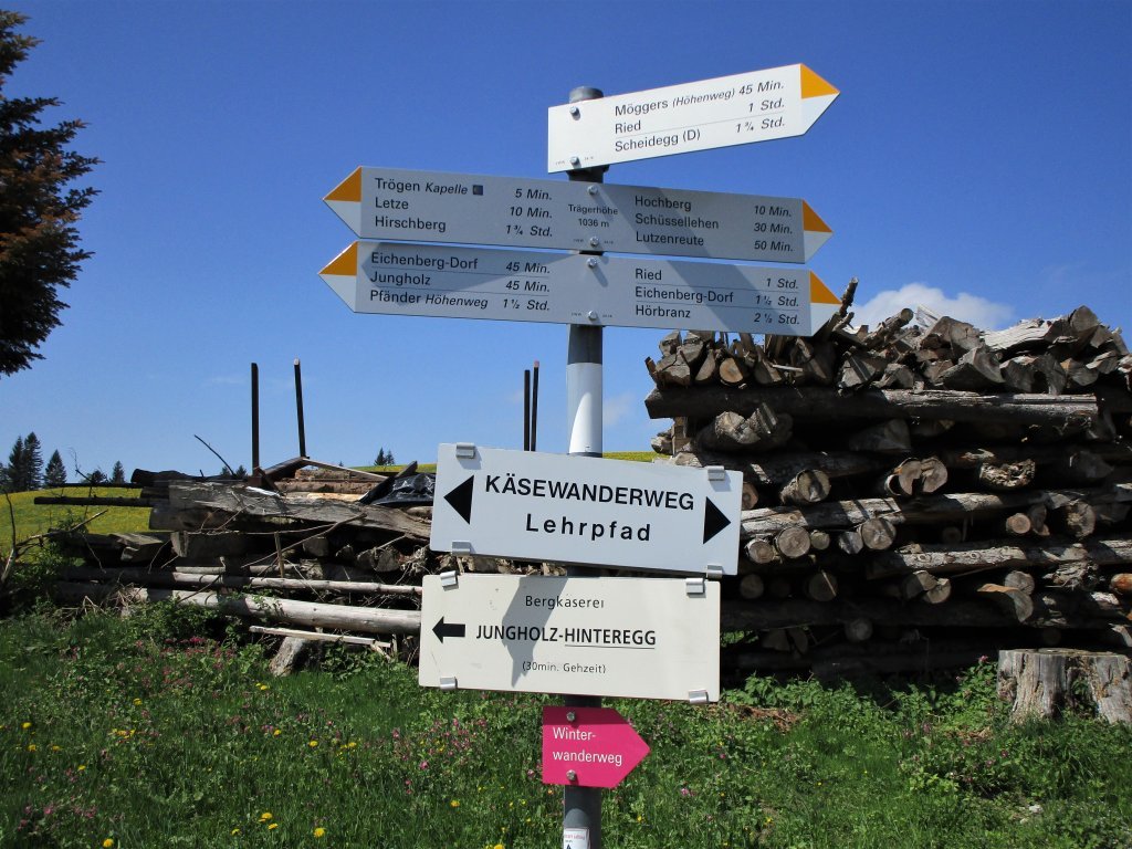 Hier verlassen sie den Käselehrpfad und folgen dem Wegweiser nach Scheidegg