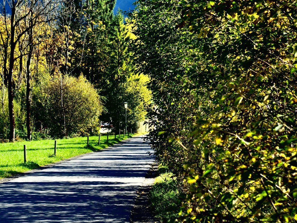 Weg entlang der Bregenzerach