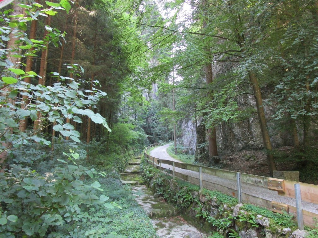 Durch die kühle Schlucht des Mitzgebachs