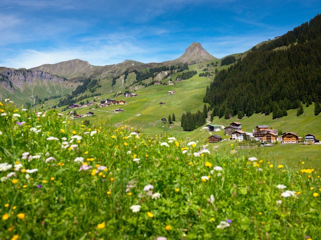 Damüls im Sommer