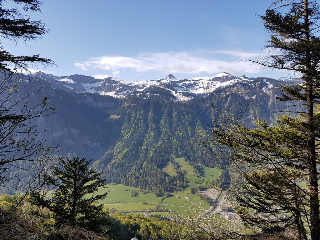 Aussicht vom Gopfberg