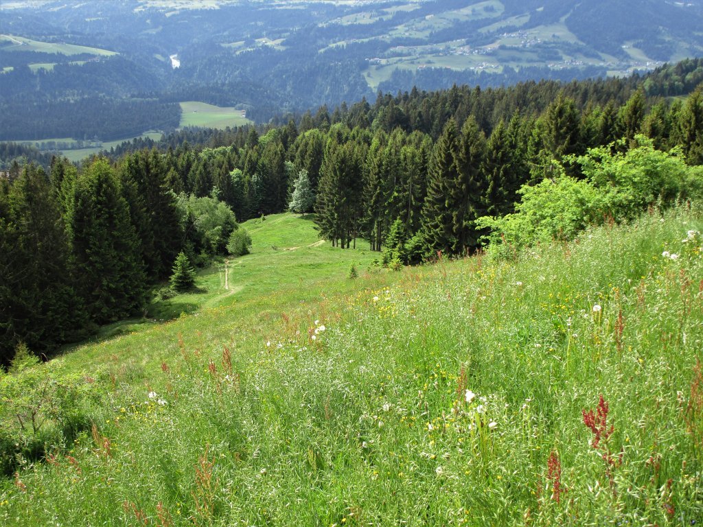 Abstieg nach Überschreitung des Hirschberges