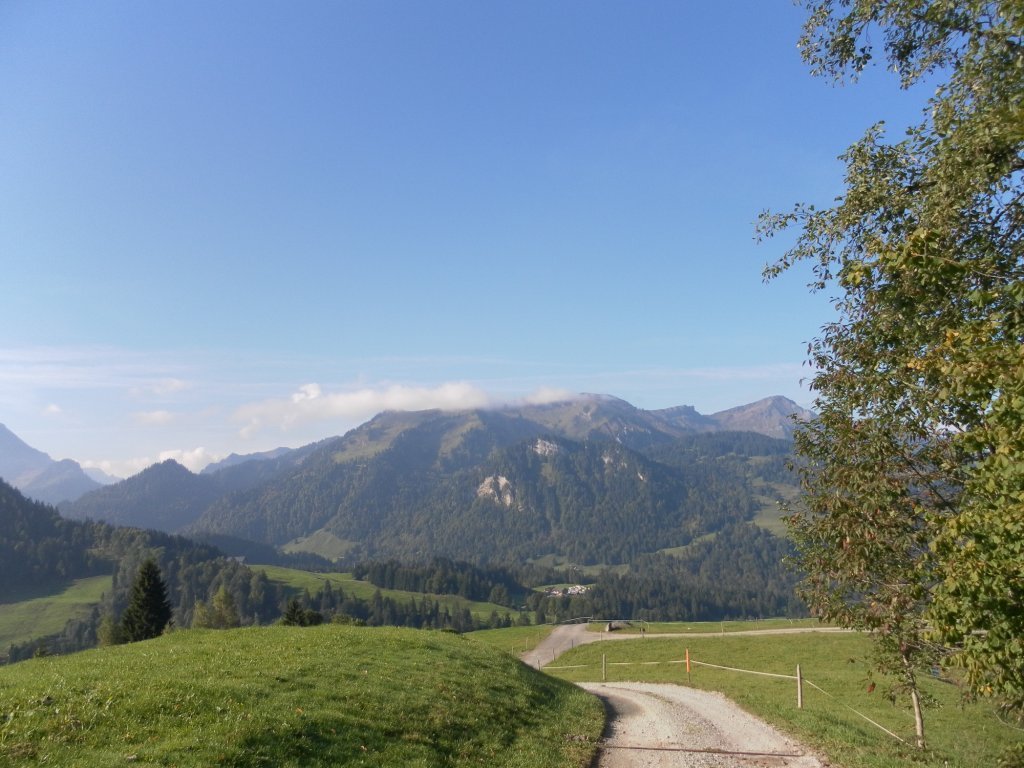 Blick auf die Winterstaude