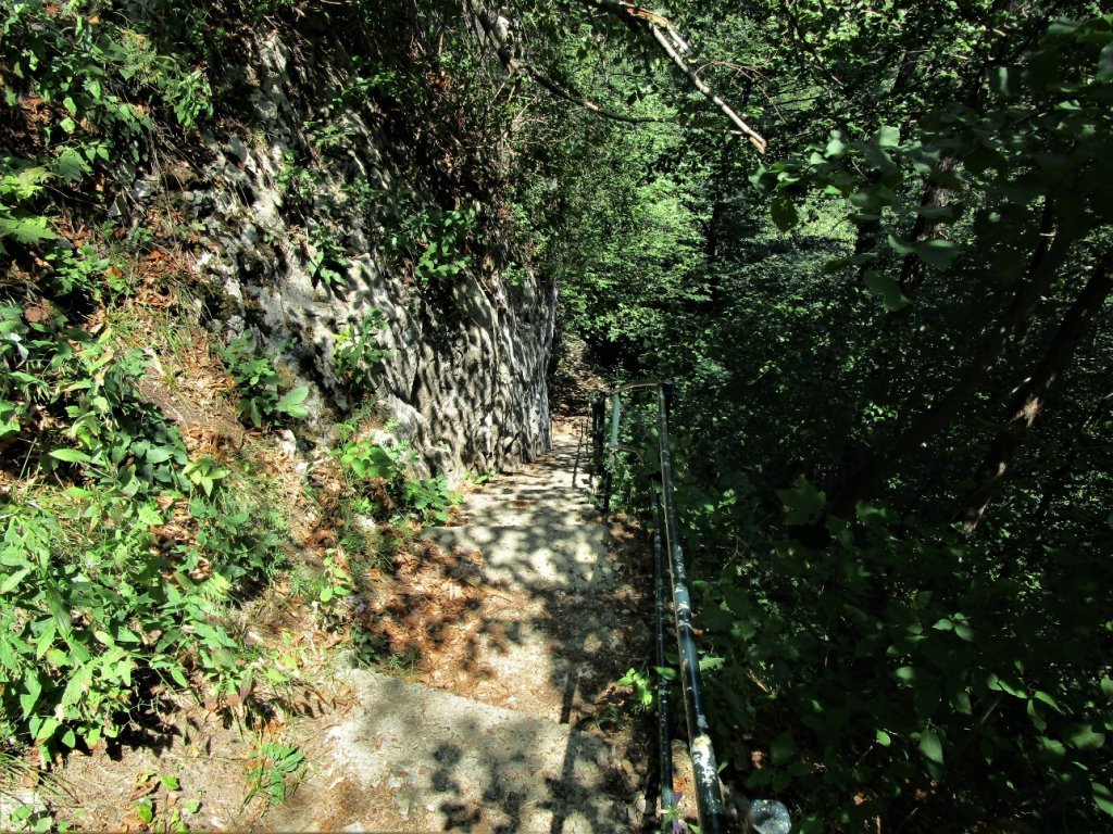 Abstieg von Therenberg zur Ruine Neu-Montfort