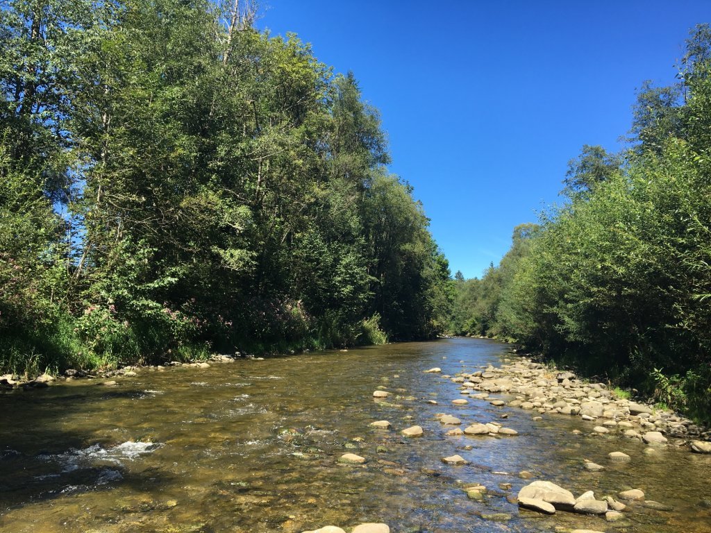 Die Rotach in Sulzberg/Thal