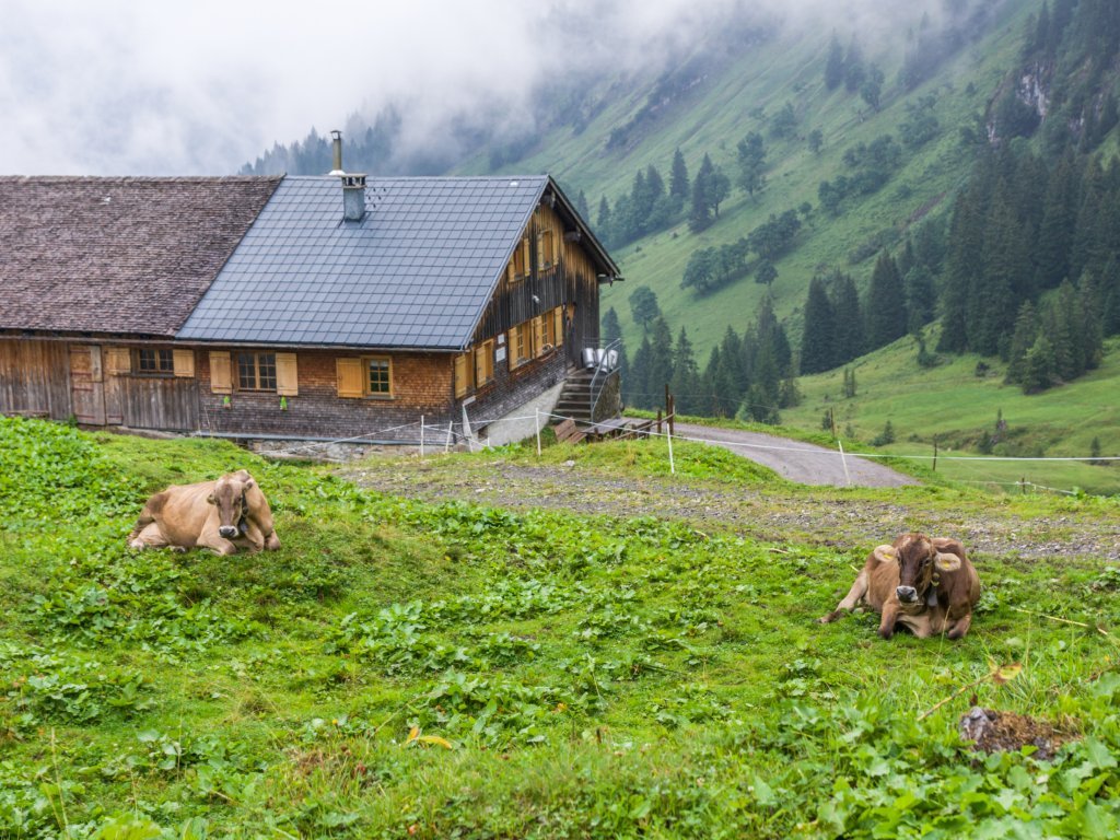 Almisguntenalpe