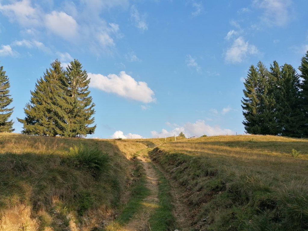 Weg Richtung Renkknie