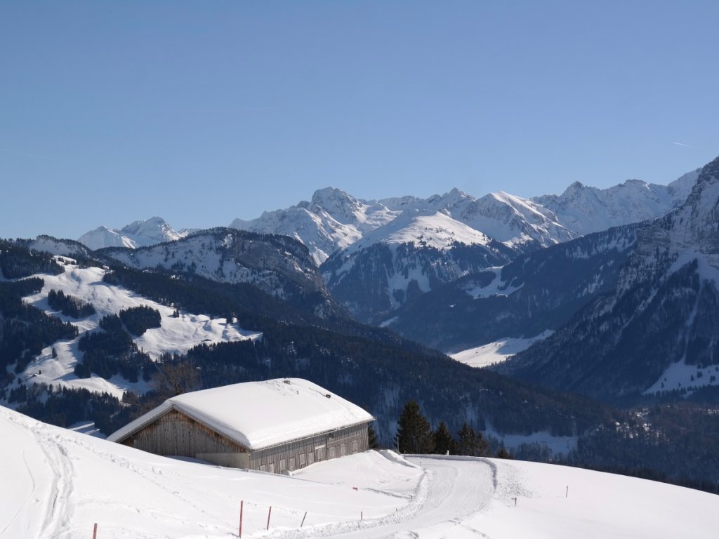 Alpe Leugehr auf dem Sonderdach