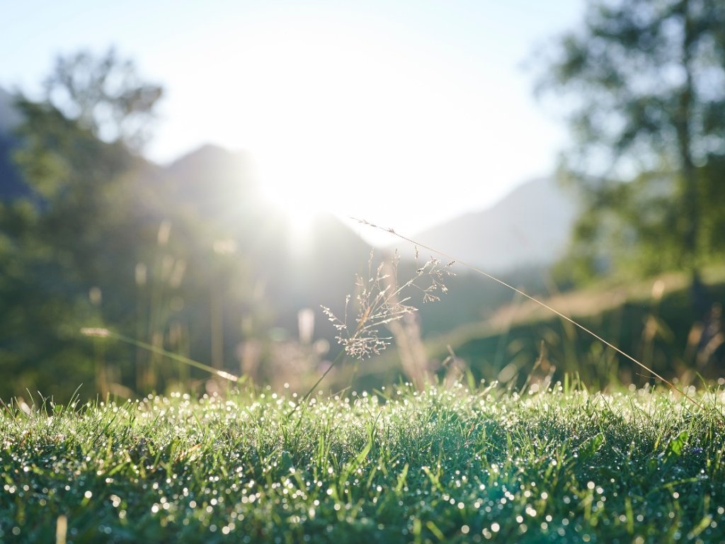 Morgenstimmung im Lecknertal