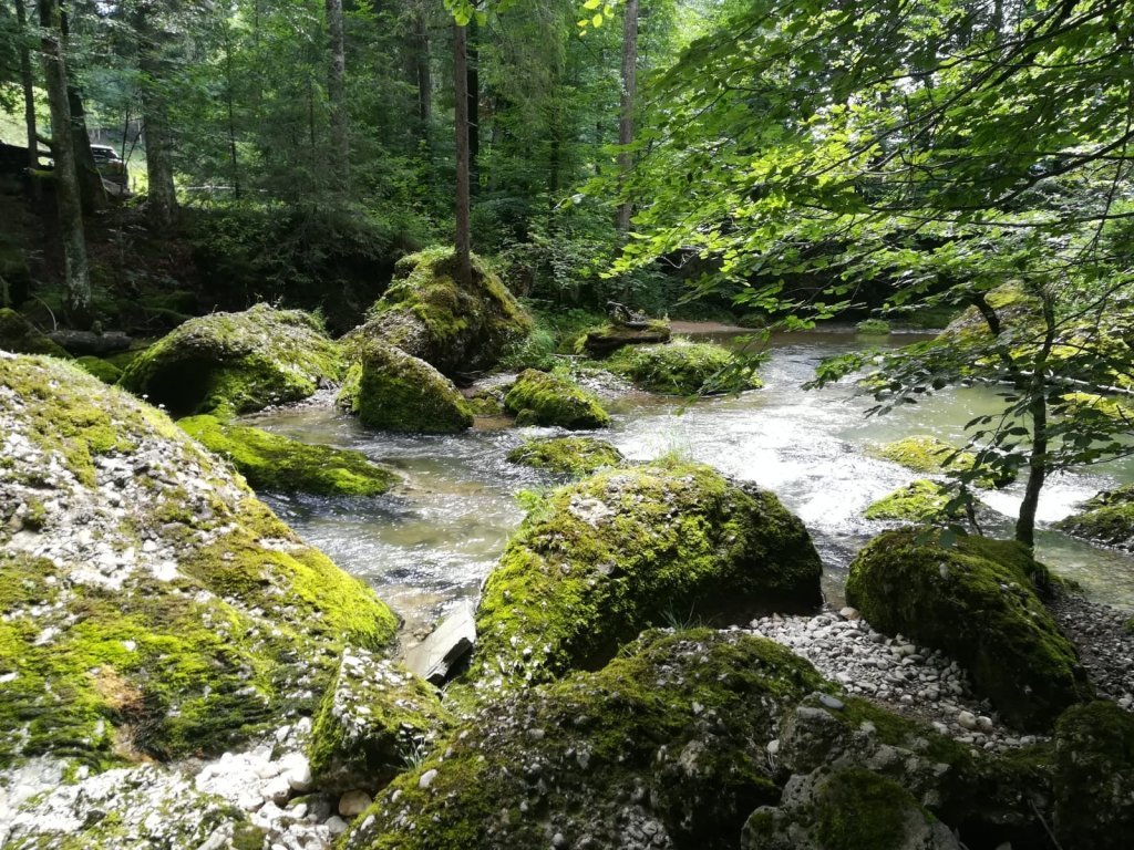 Lecknertal