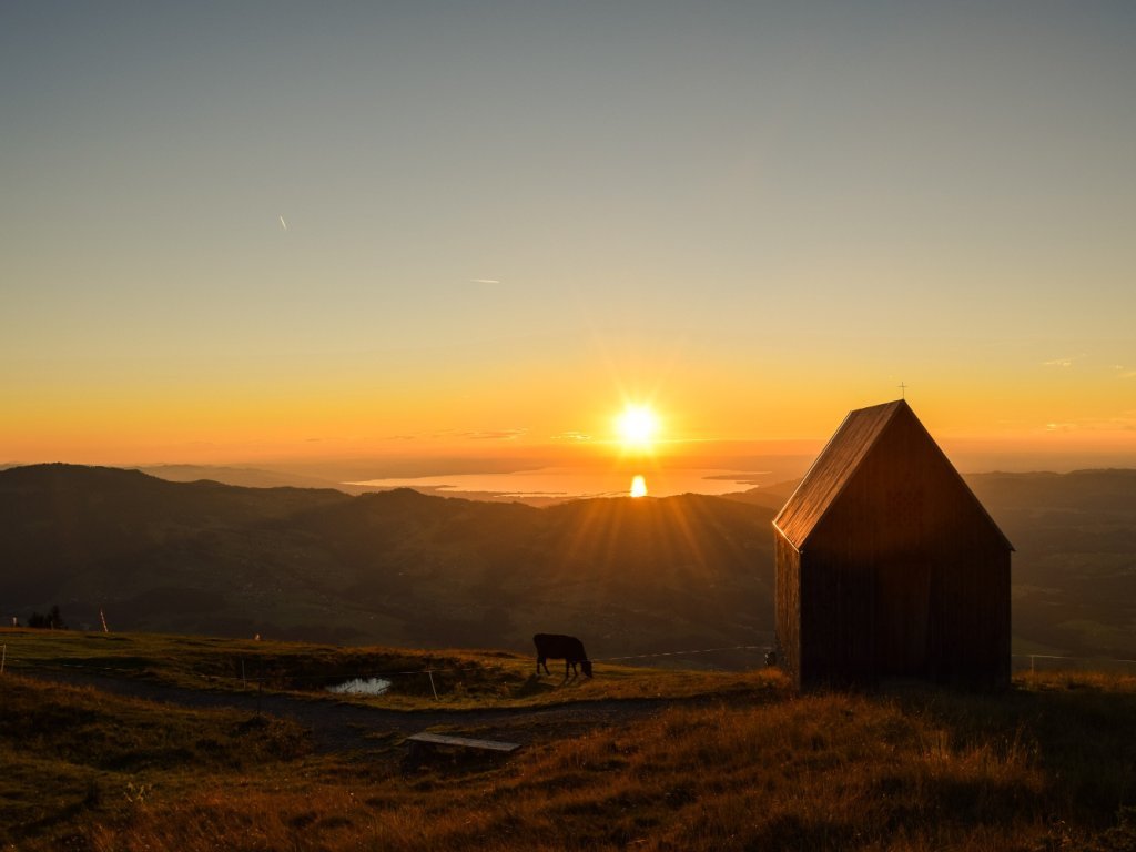 Vordere Niedere mit Blick auf den Bodensee