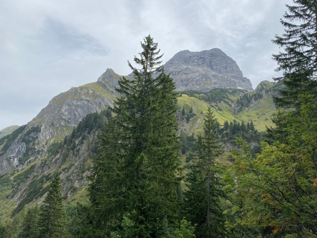 Blick zum Widderstein