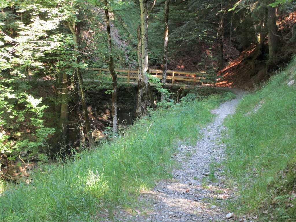 Tobel und Töbelchen wechseln sich beständig ab