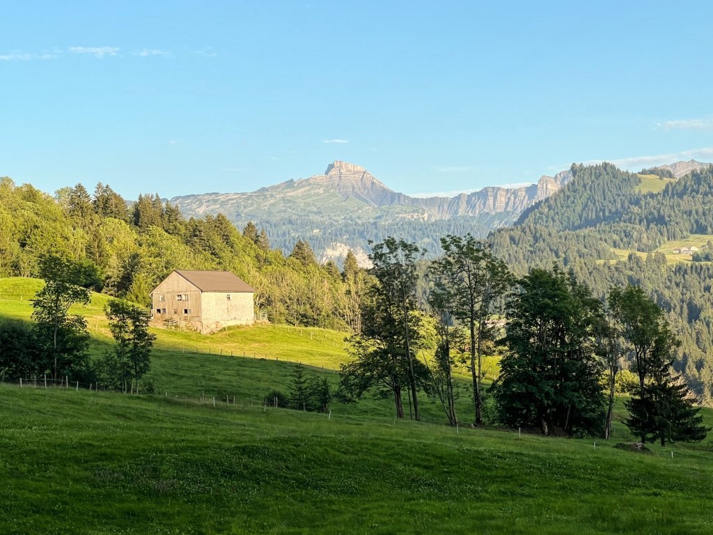 Blick von den Hinterbergalpen Richtung Hoher Ifen