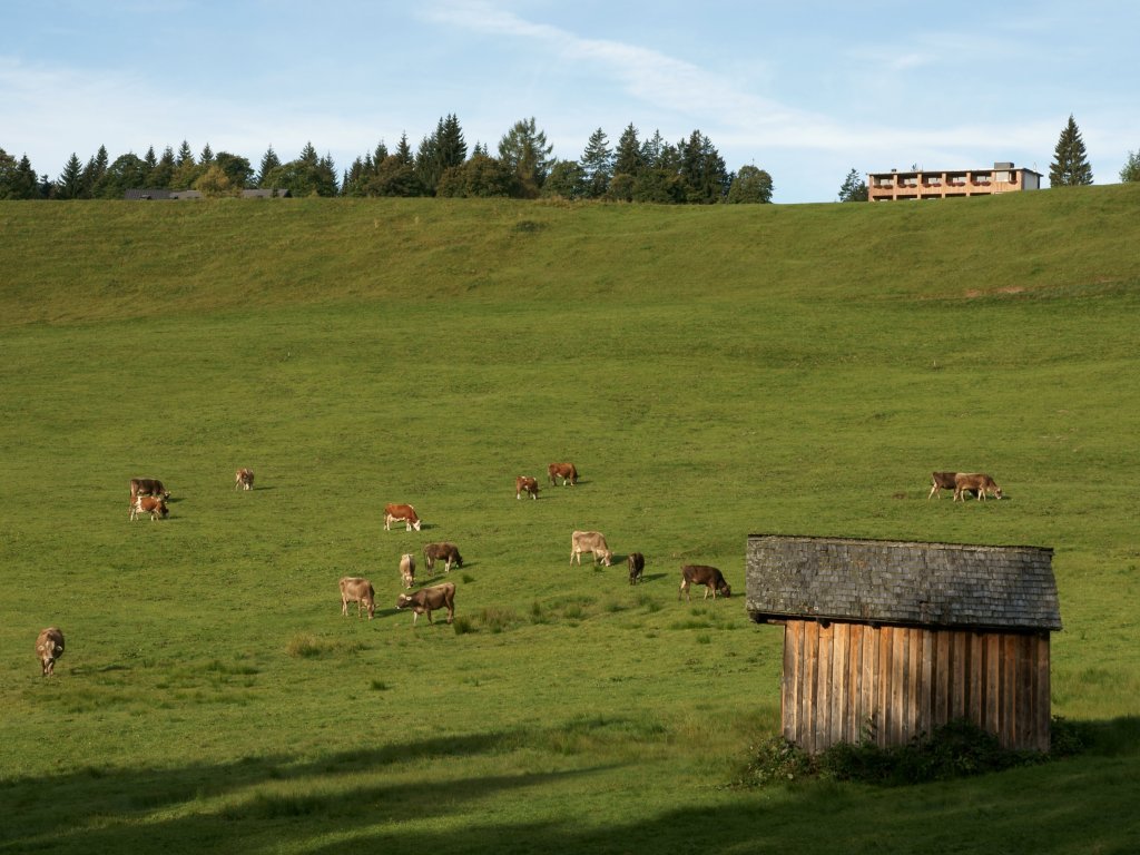 Am Bödele