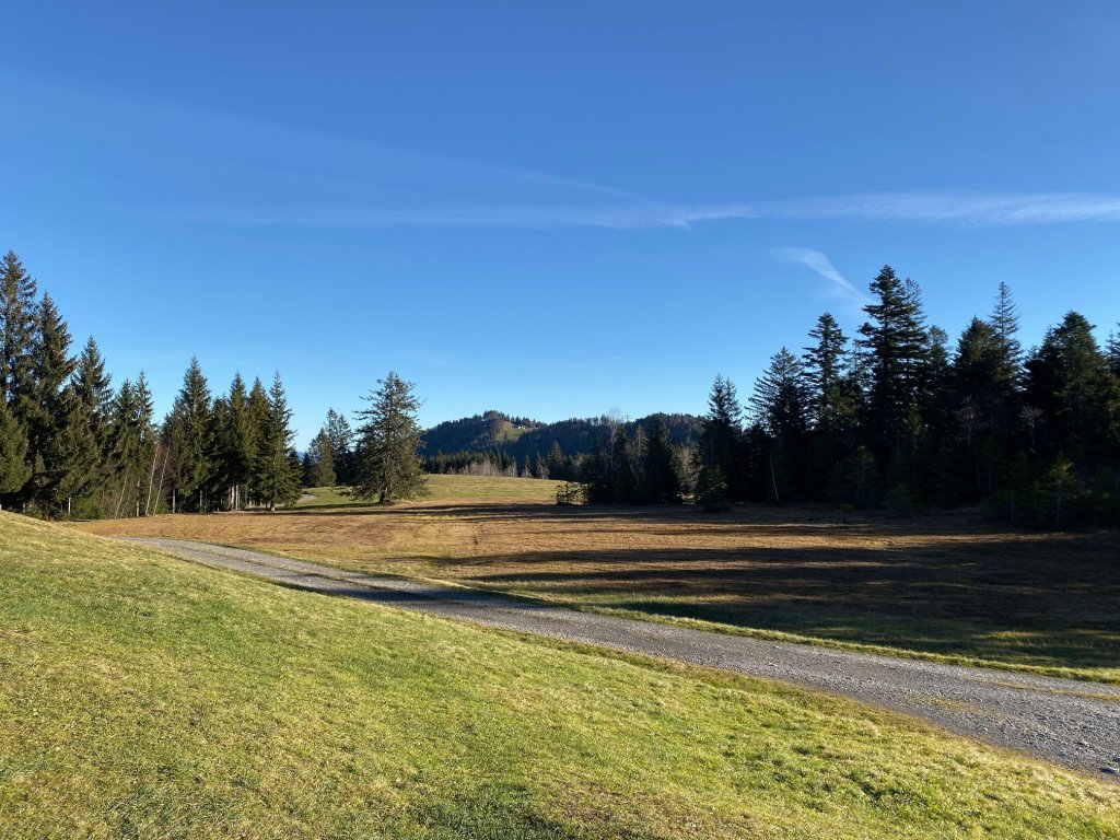 Auf dem Weg vom Bödele Richtung Brüggelekopf