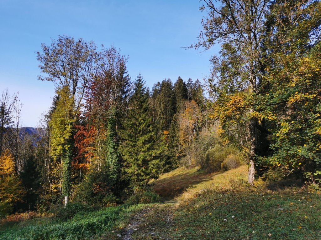 Schöne Herbststimmung auf dem Weg aufs Sonderdach