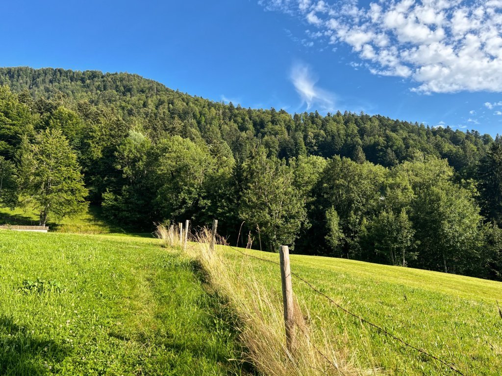 Auf dem Weg zu den Hittisbergalpen