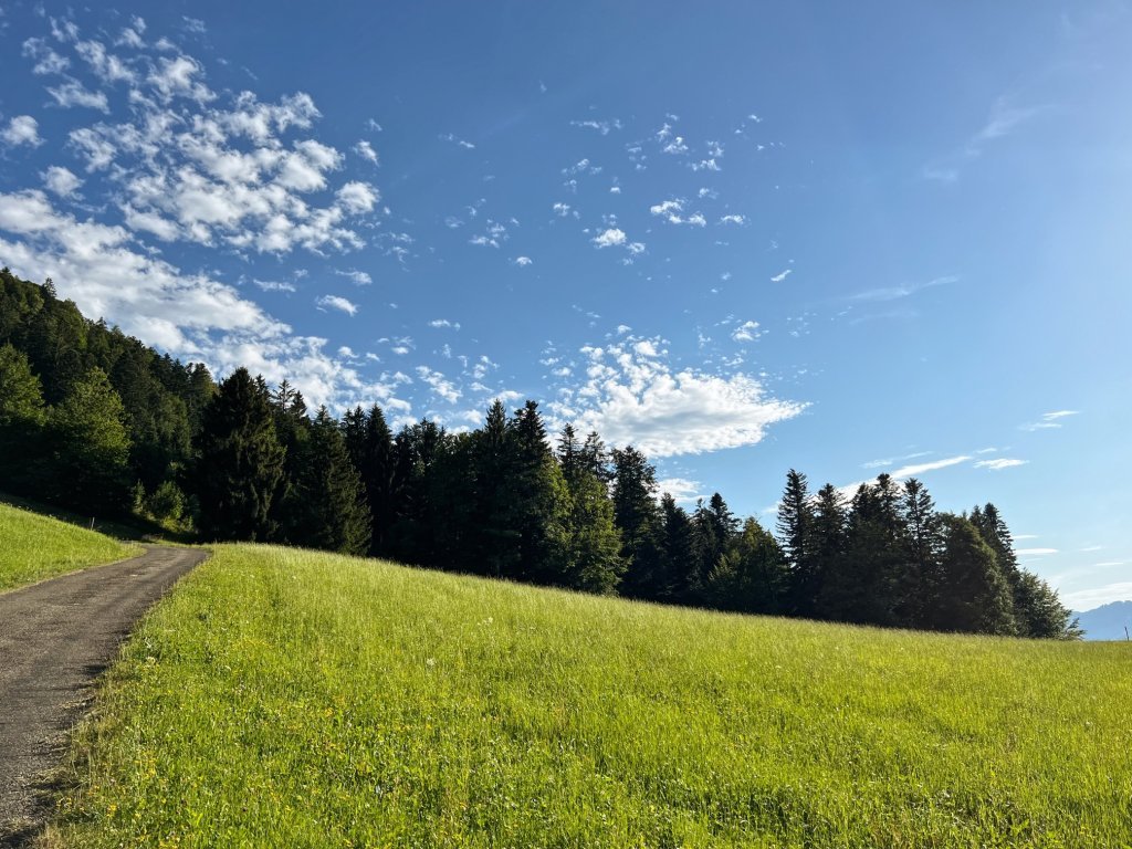 Auf dem Weg zu den Hittisbergalpen