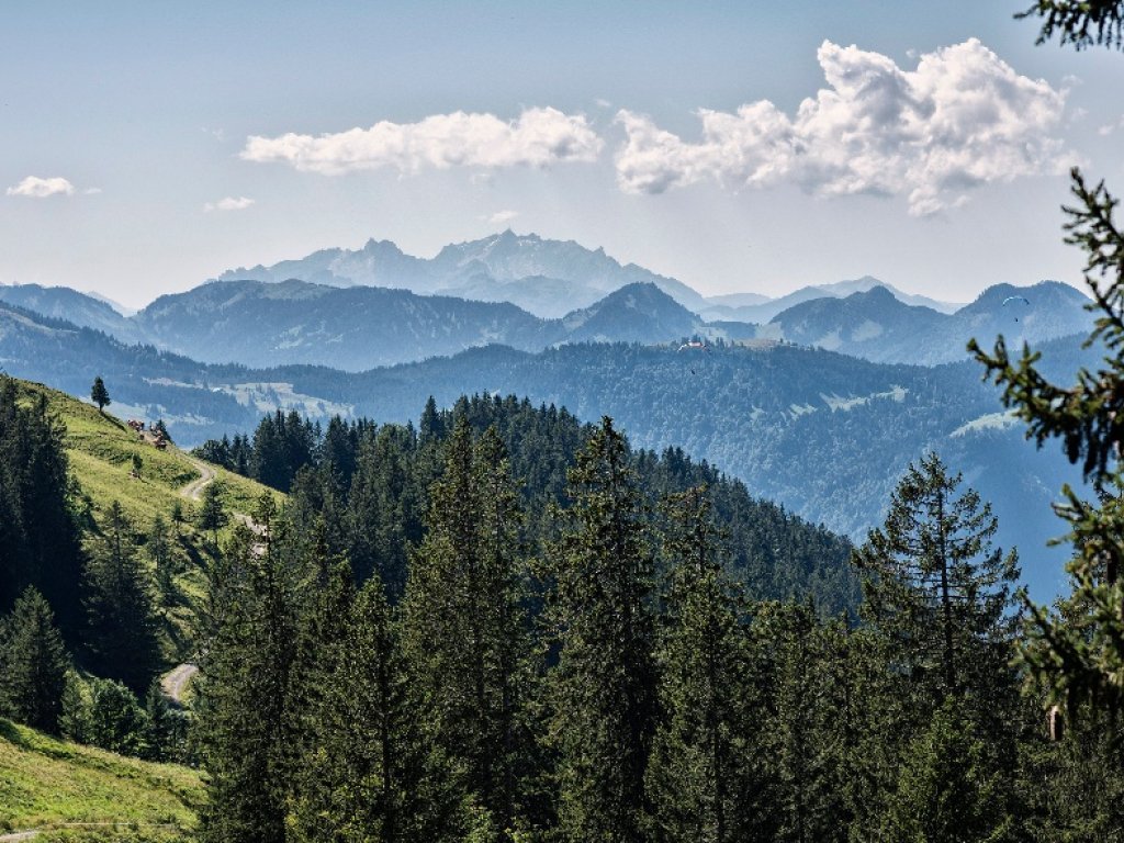 Ausblick von der Niedere