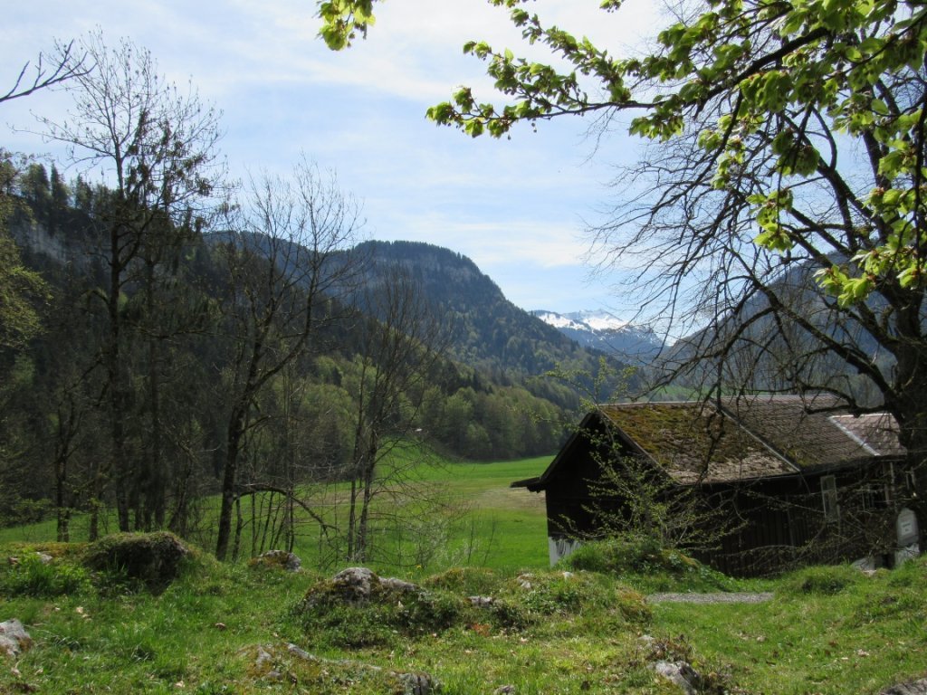 Aussicht Richtung Grebauer Moos