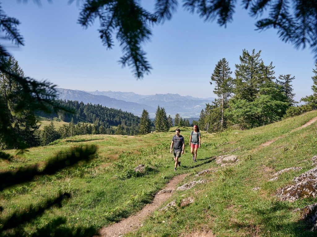 Weg zum Kojen Riefensberg