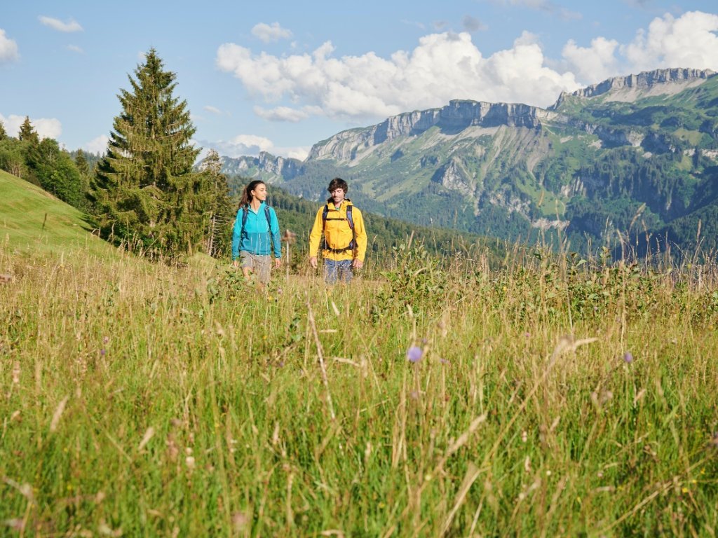 Wandern in Sibratsgfäll / im Hintergrund das Gottesackerplateau