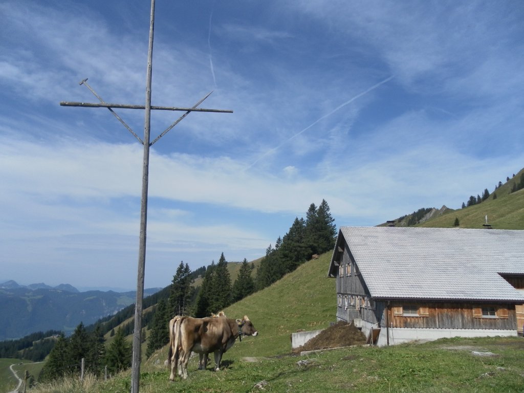 Alpe Lingenauere