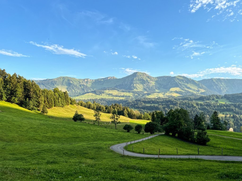 Hinterbergalpen, Blick Richtung Schetteregg und Winterstaude