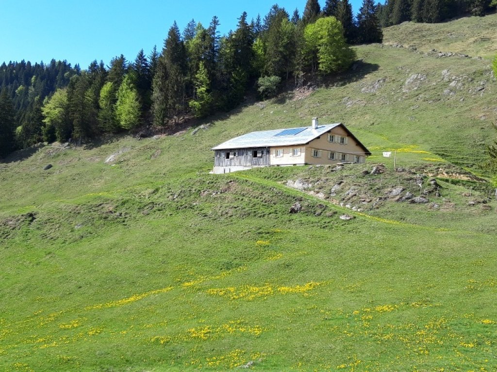 Lochalpe Lecknertal Hittisau