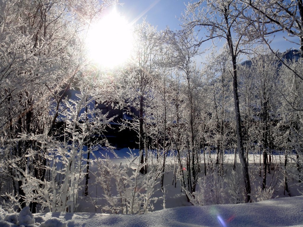 Winterlandschaft in Reuthe