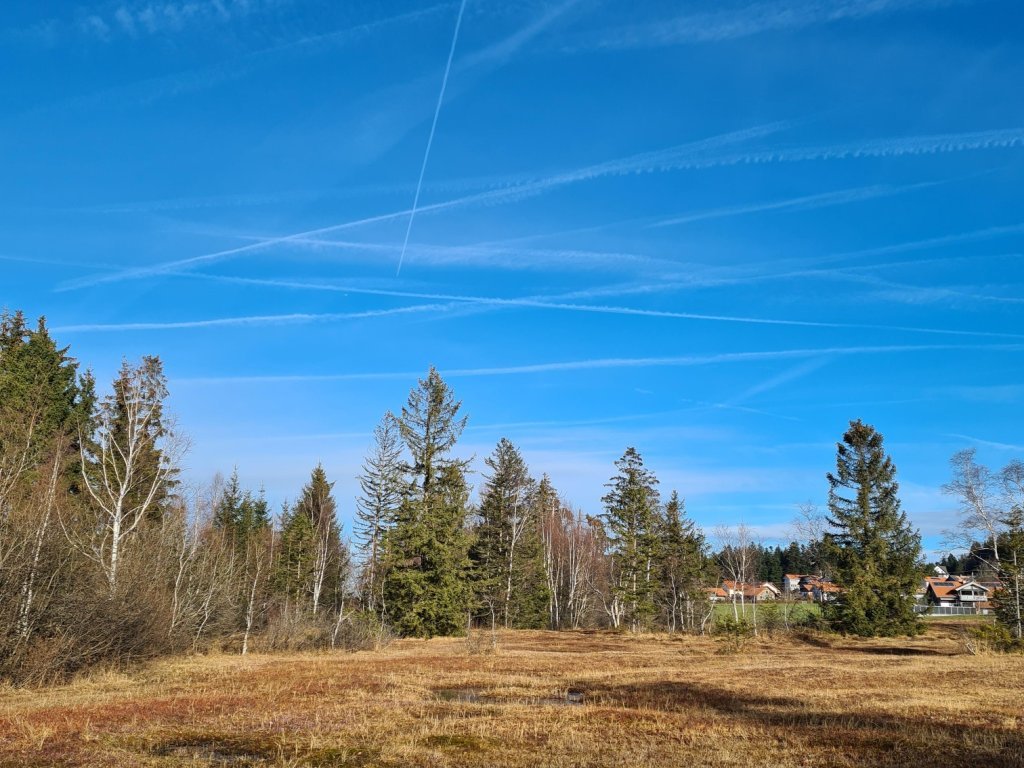 Moorlandschaft auf dem Weg