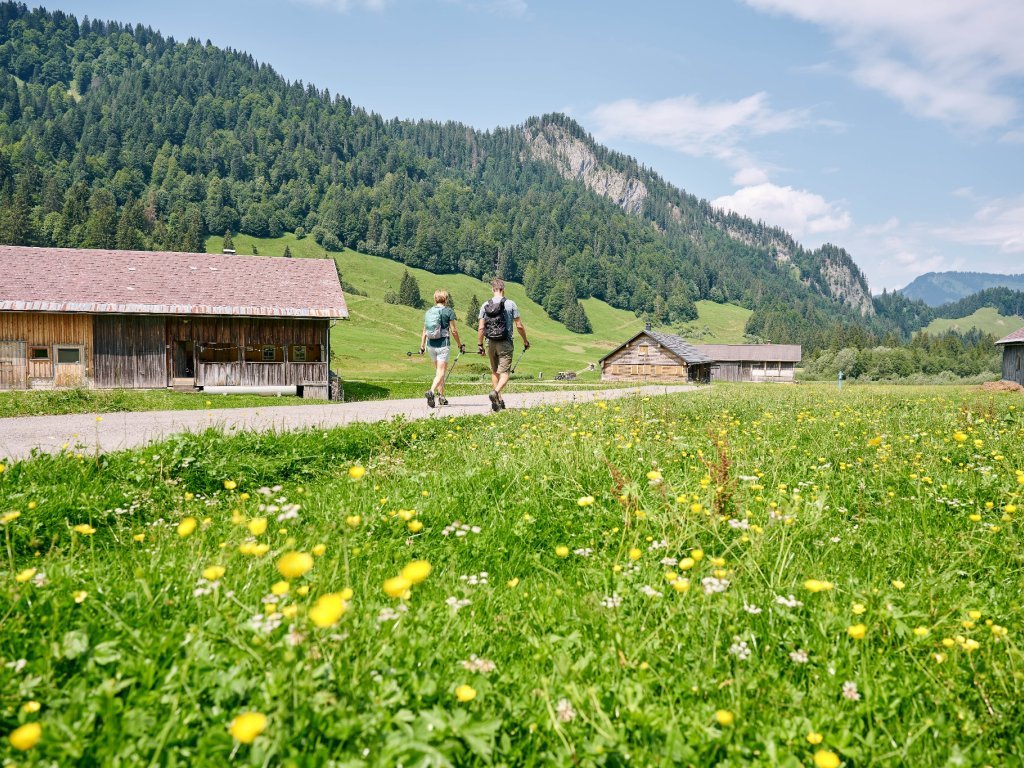 Schönenbach im Sommer