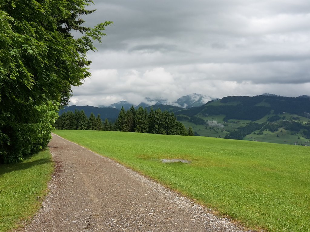 Güterweg Richtung Hochsträss