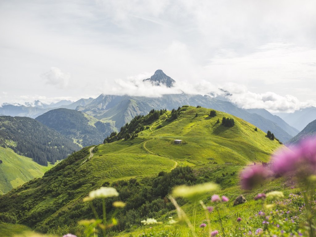 Blick von Warth-Schröcken zum Biberkopf