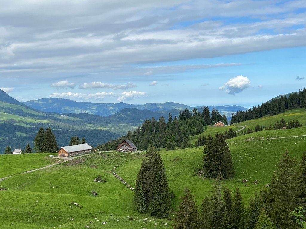 Weg Richtung Feuerstätterkopf